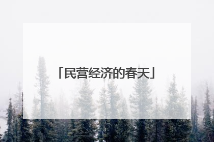 民营经济的春天