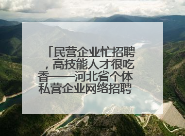 民营企业忙招聘，高技能人才很吃香——河北省个体私营企业网络招聘大会扫描