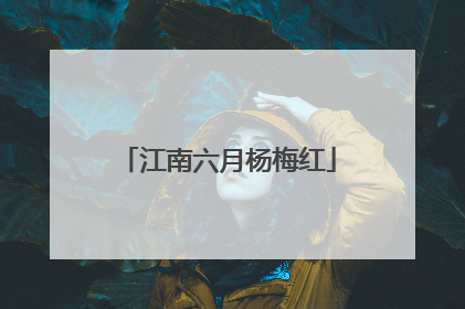 江南六月杨梅红