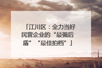 江川区：全力当好民营企业的“最强后盾”“最佳拍档”