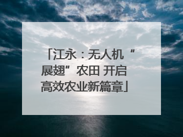 江永：无人机“展翅”农田 开启高效农业新篇章