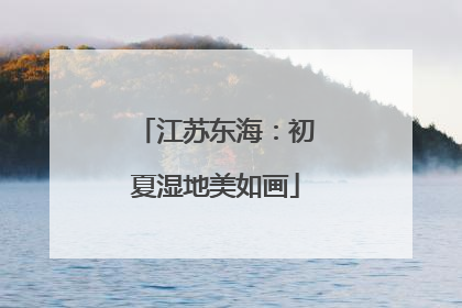 江苏东海：初夏湿地美如画