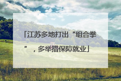 江苏多地打出“组合拳”，多举措保障就业
