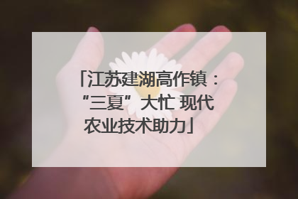 江苏建湖高作镇：“三夏”大忙 现代农业技术助力