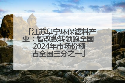 江苏阜宁环保滤料产业：智改数转领跑全国 2024年市场份额占全国三分之一