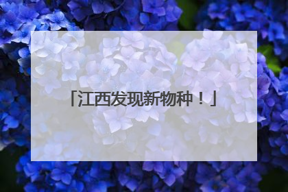 江西发现新物种！