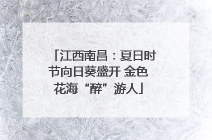 江西南昌：夏日时节向日葵盛开 金色花海“醉”游人
