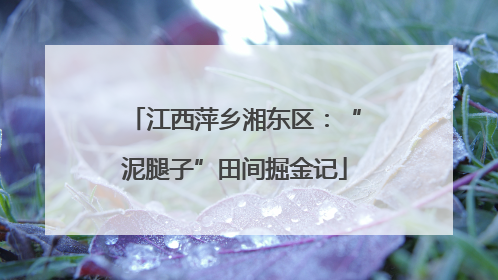 江西萍乡湘东区：“泥腿子”田间掘金记