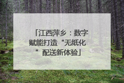 江西萍乡：数字赋能打造“无纸化”配送新体验