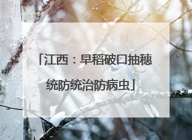 江西：早稻破口抽穗 统防统治防病虫
