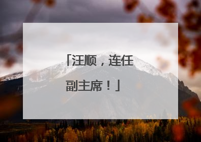 汪顺，连任副主席！