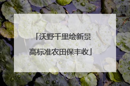 沃野千里绘新景 高标准农田保丰收