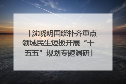 沈晓明围绕补齐重点领域民生短板开展“十五五”规划专题调研