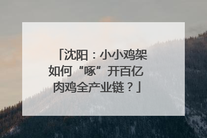沈阳：小小鸡架如何“啄”开百亿肉鸡全产业链？