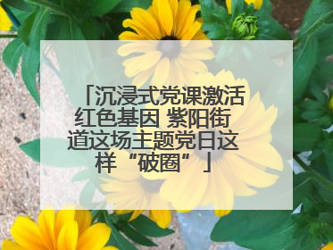 沉浸式党课激活红色基因 紫阳街道这场主题党日这样“破圈”