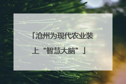 沧州为现代农业装上“智慧大脑”