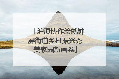 沪滇协作绘就钟屏街道乡村振兴秀美家园新画卷