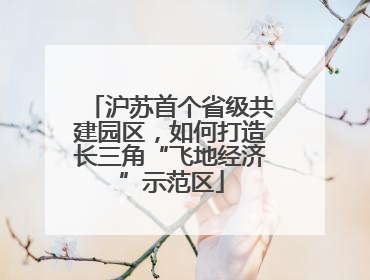 沪苏首个省级共建园区，如何打造长三角“飞地经济”示范区