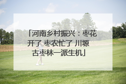 河南乡村振兴：枣花开了 枣农忙了 川塬古枣林一派生机