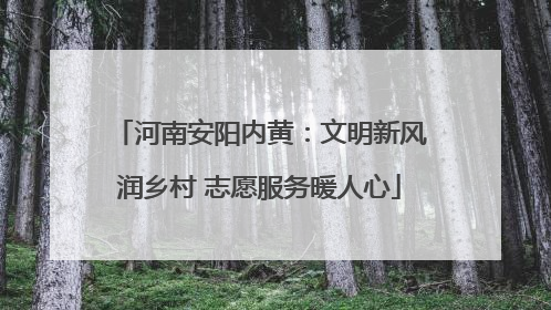 河南安阳内黄：文明新风润乡村 志愿服务暖人心