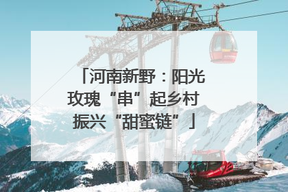河南新野：阳光玫瑰“串”起乡村振兴“甜蜜链”