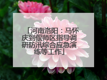 河南洛阳：马怀庆到偃师区指导调研防汛综合应急演练等工作