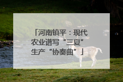 河南镇平：现代农业谱写“三夏”生产“协奏曲”