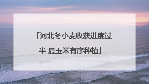 河北冬小麦收获进度过半 夏玉米有序种植