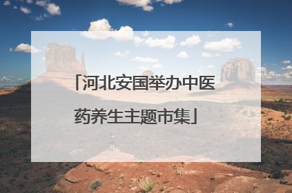河北安国举办中医药养生主题市集