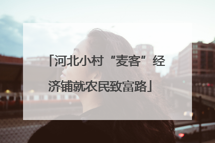 河北小村“麦客”经济铺就农民致富路