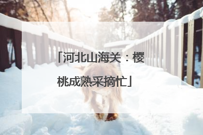 河北山海关：樱桃成熟采摘忙