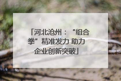 河北沧州：“组合拳”精准发力 助力企业创新突破