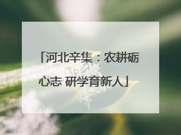 河北辛集：农耕砺心志 研学育新人