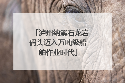 泸州纳溪石龙岩码头迈入万吨级船舶作业时代