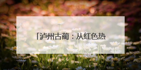 泸州古蔺：从红色热土到文旅高地 打造民族团结进步示范样板