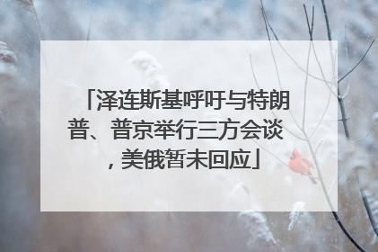泽连斯基呼吁与特朗普、普京举行三方会谈，美俄暂未回应