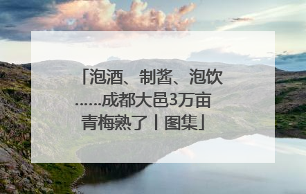 泡酒、制酱、泡饮……成都大邑3万亩青梅熟了丨图集
