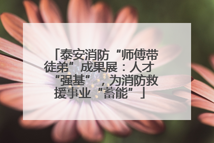 泰安消防“师傅带徒弟”成果展：人才“强基”，为消防救援事业“蓄能”