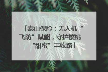 泰山保险：无人机“飞防”赋能，守护樱桃“甜蜜”丰收路