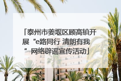 泰州市姜堰区顾高镇开展“e路同行 清朗有我”网络辟谣宣传活动
