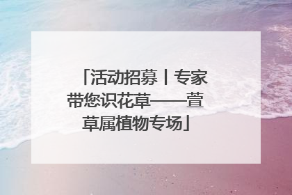 活动招募丨专家带您识花草——萱草属植物专场