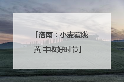 洛南：小麦覆陇黄 丰收好时节