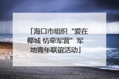 海口市组织“爱在椰城 情牵军营”军地青年联谊活动