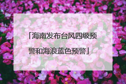 海南发布台风四级预警和海浪蓝色预警