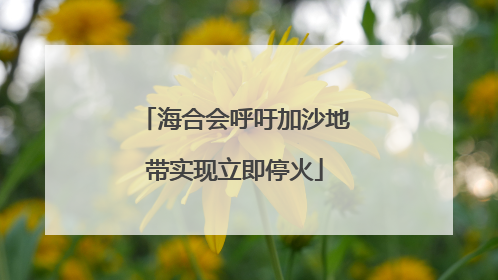 海合会呼吁加沙地带实现立即停火