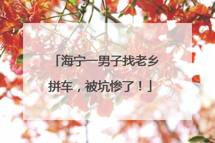海宁一男子找老乡拼车，被坑惨了！
