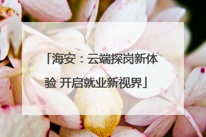 海安：云端探岗新体验 开启就业新视界