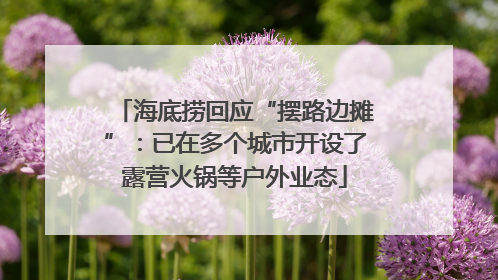海底捞回应“摆路边摊”：已在多个城市开设了露营火锅等户外业态