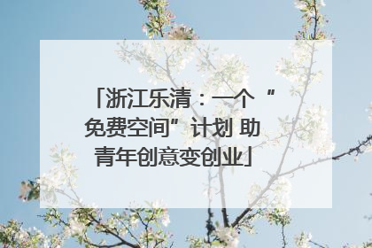 浙江乐清：一个“免费空间”计划 助青年创意变创业