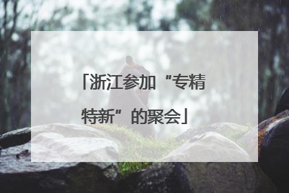 浙江参加“专精特新”的聚会